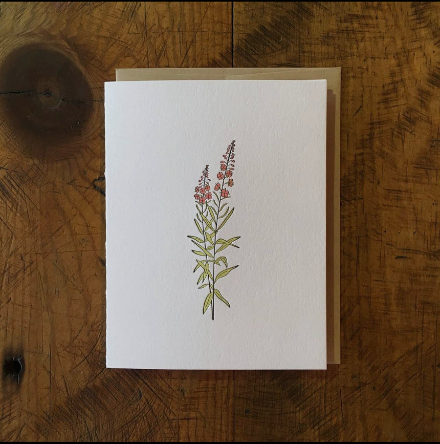 Fireweed Wildflower Card