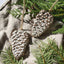 Ceramic Pinecone Ornament