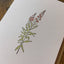 Fireweed Wildflower Card