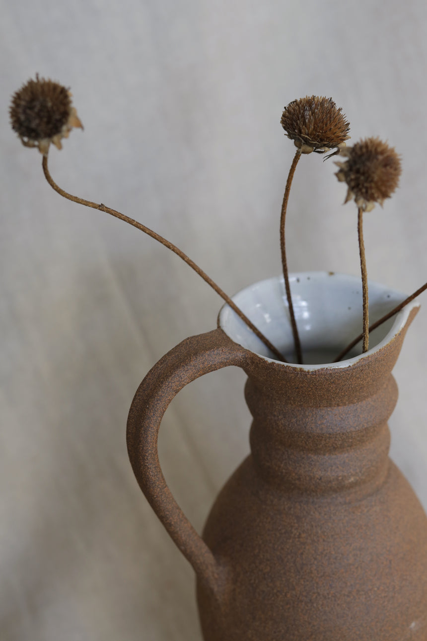 Marbled Pitcher