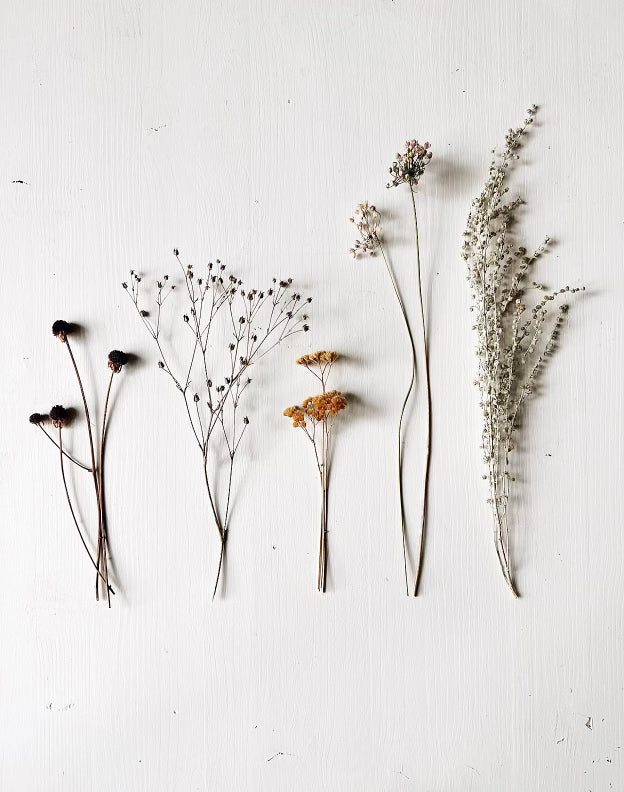 Ceramic Foraging Shelf Workshop