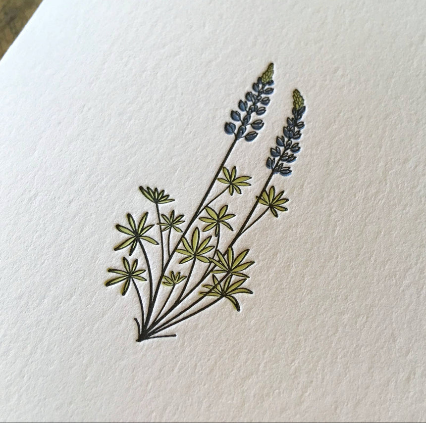 Lupine Wildflower Card