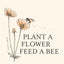 Pollinator Wildflower Seed Blend